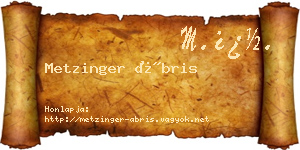 Metzinger Ábris névjegykártya